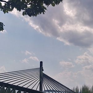 Meet your Posher, Lynn